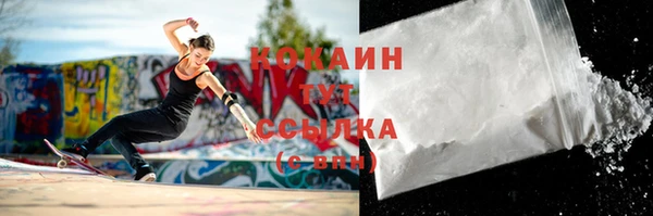 тгк Алексин