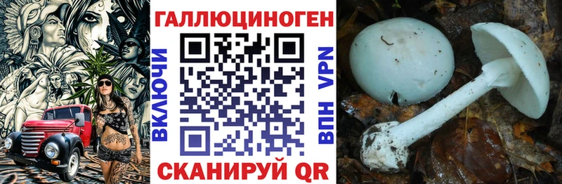OMG вход  Советская Гавань  Галлюциногенные грибы мухоморы 